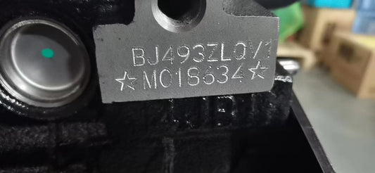 🔧 Foton BJ493ZLQV1 Diesel Engine for Tuman 2 Sprayer – Reliable Agricultural Motor 🌾