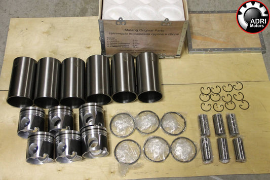 612630020024 Поршневий комплект SHACMAN WP12