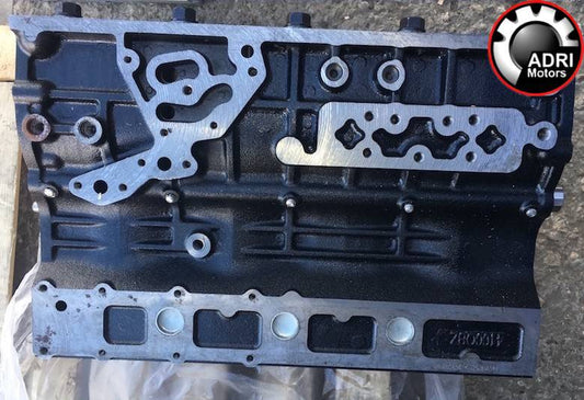 Блок циліндрів BAW Fenix 1044 / 33462 Euro-2 4100QBZ-01.01, оригінал