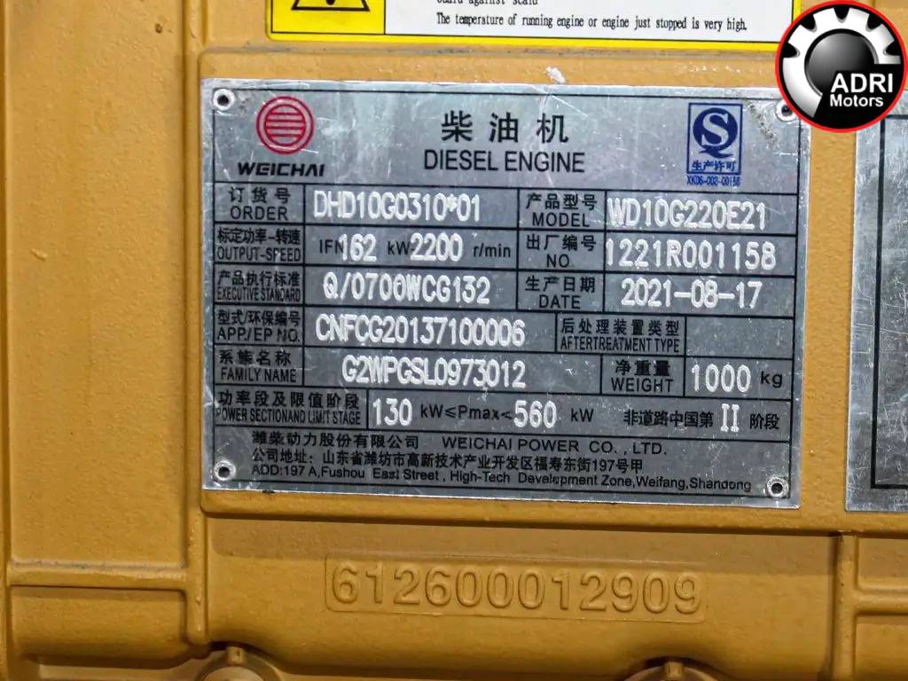 Двигун SDLG WD10G220E21 повний комплект