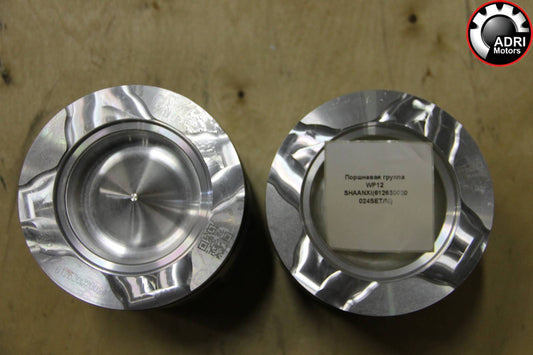 612630020024 Поршневий комплект SHACMAN WP12