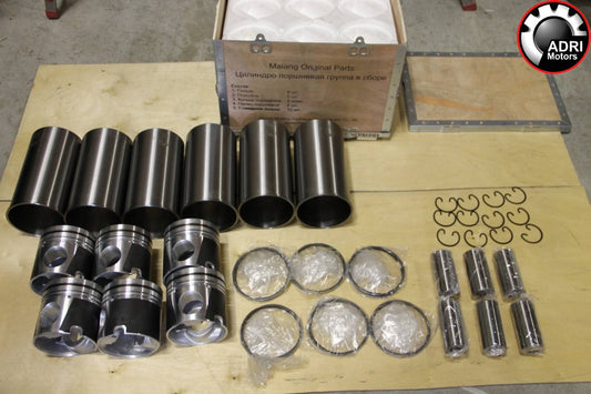 VG1540030004SET купити в Україні Комплект поршнів для двигуна HOWO WD615 Euro 3