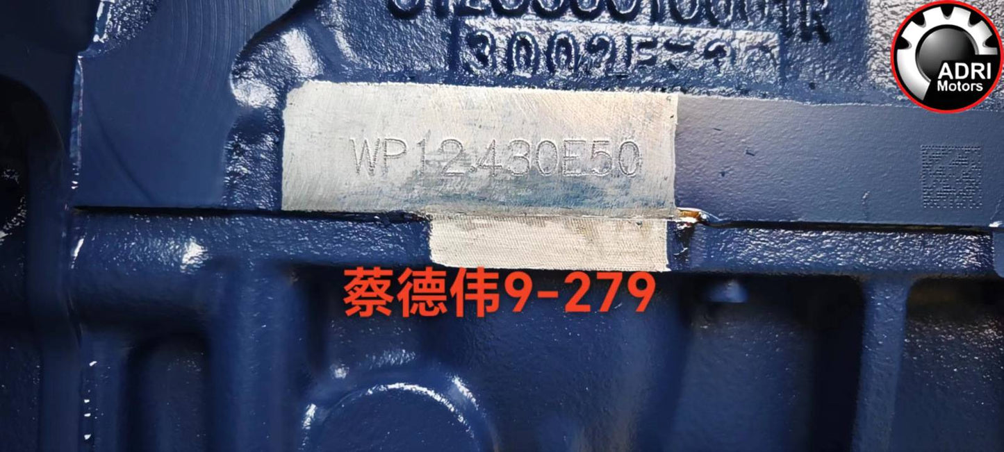 Купити двигун без навісного WP12.430E50 для Schacman X3000